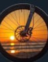 Active Life Novi Sad