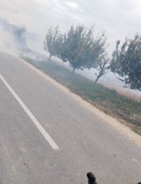 Утренняя Руменка - Футог