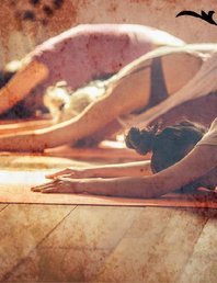 «Йога Лайт | Здоровая спина»