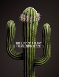 «Искусство в рекламе: от цитат к манипуляциям»