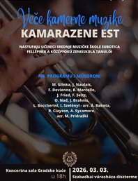 Вечер камерной музыки