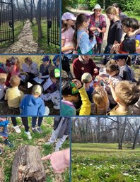 Пробуждение весны 🌱